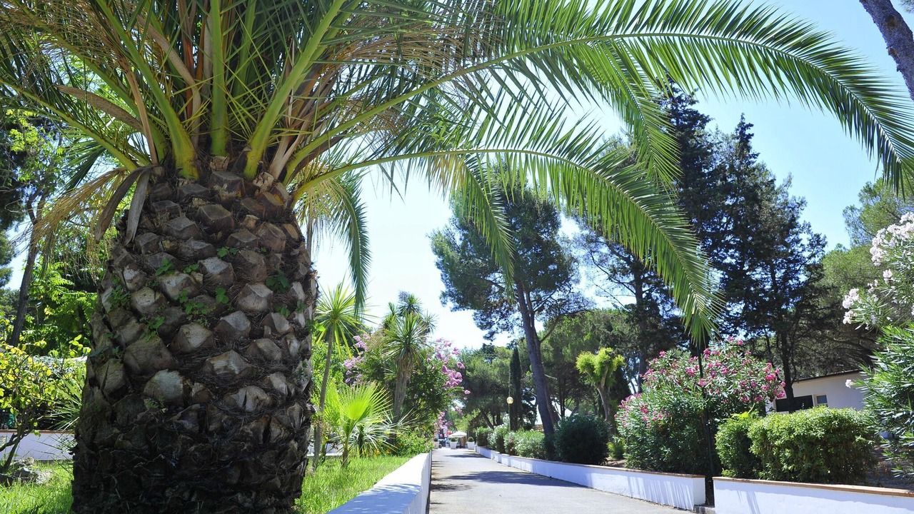 Photo of Outdoor in Baia Domizia
