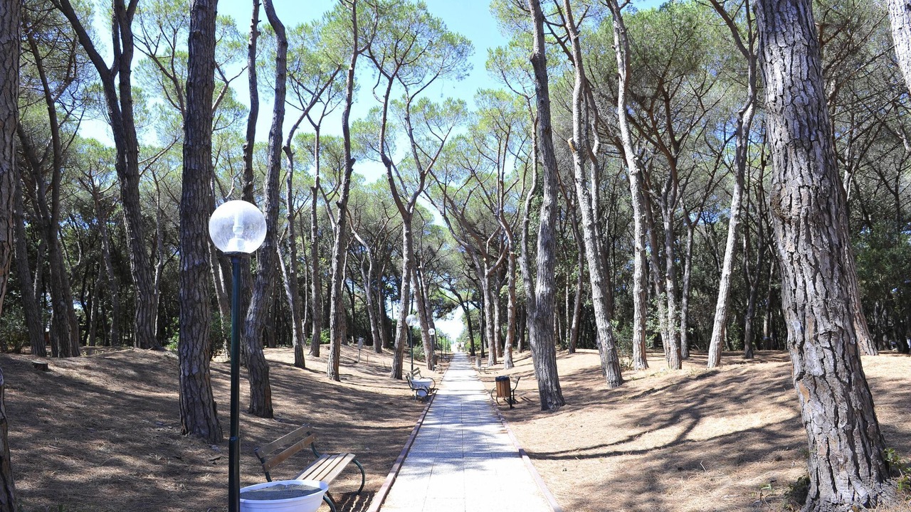 Photo of Outdoor in Baia Domizia
