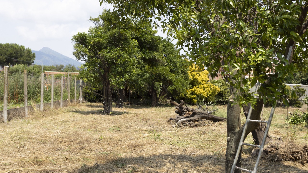 Photo of Outdoor in Pompei