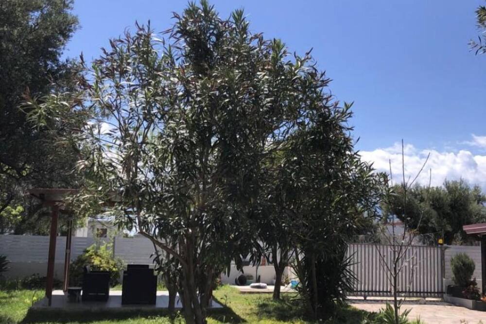 Photo of Outdoor in Le Castella