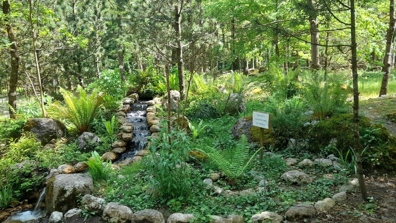 Photo of Outdoor in Orsomarso