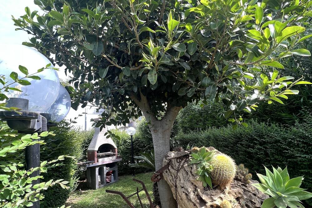 Photo of Outdoor in Botricello