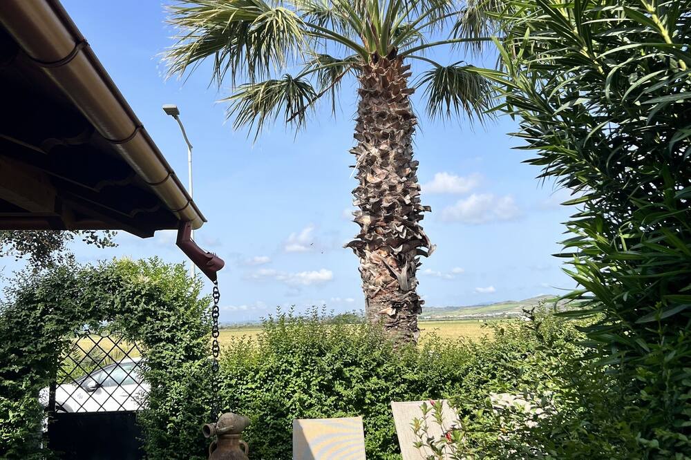 Photo of Outdoor in Botricello