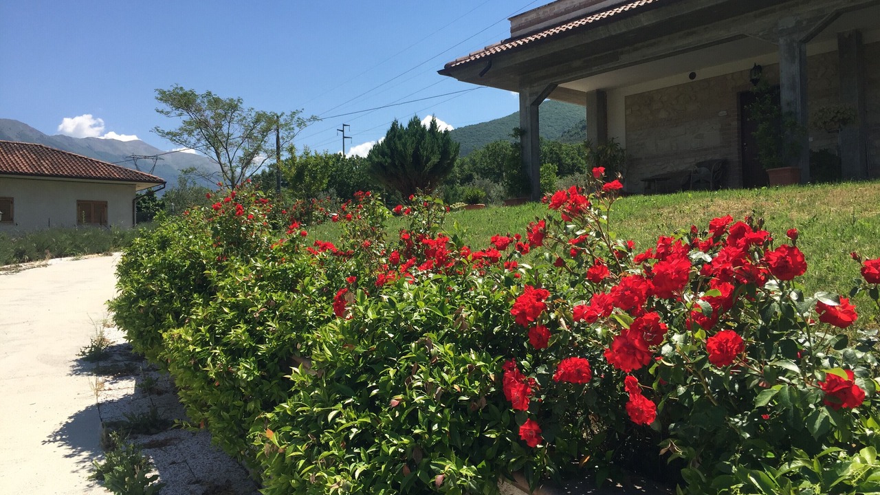 Photo of Outdoor in Pettorano sul Gizio