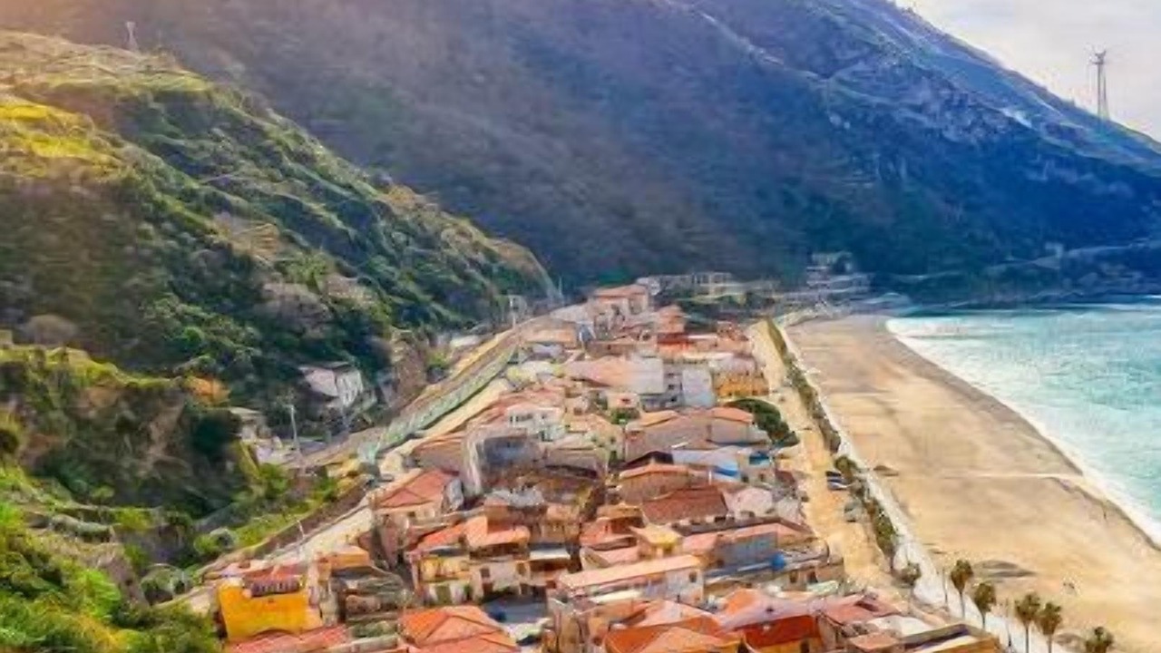 Photo of Outdoor in Scilla