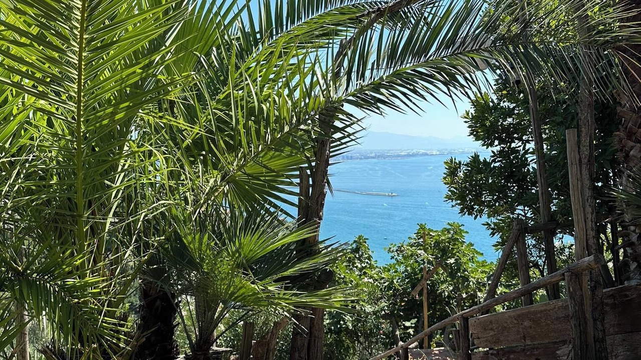 Photo of Outdoor in Raito