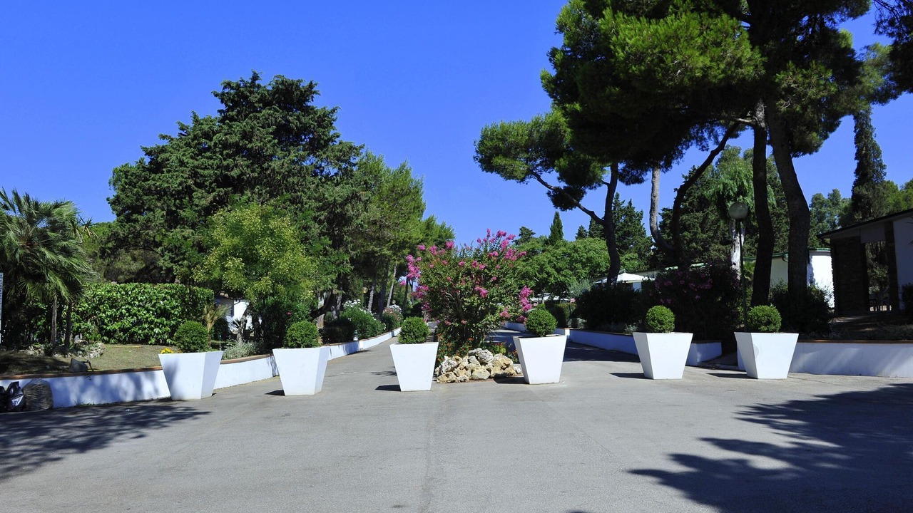 Photo of Outdoor in Baia Domizia