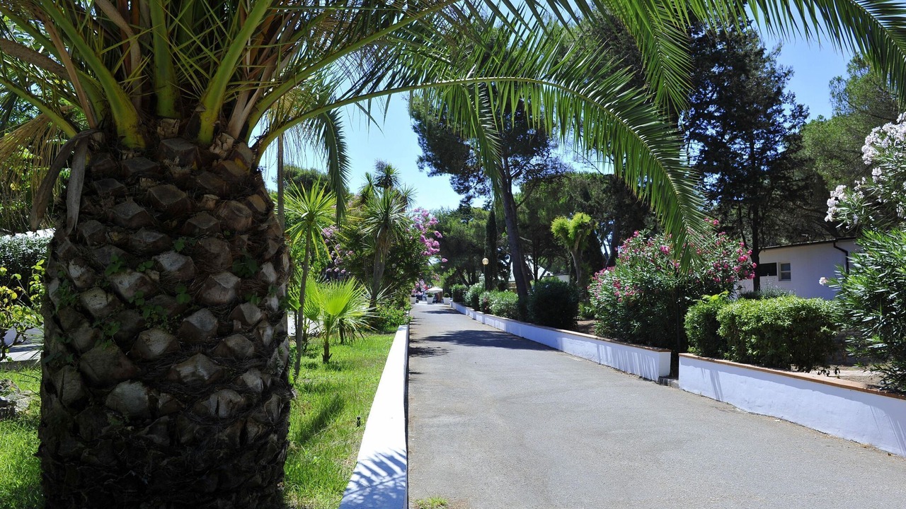 Photo of Outdoor in Baia Domizia