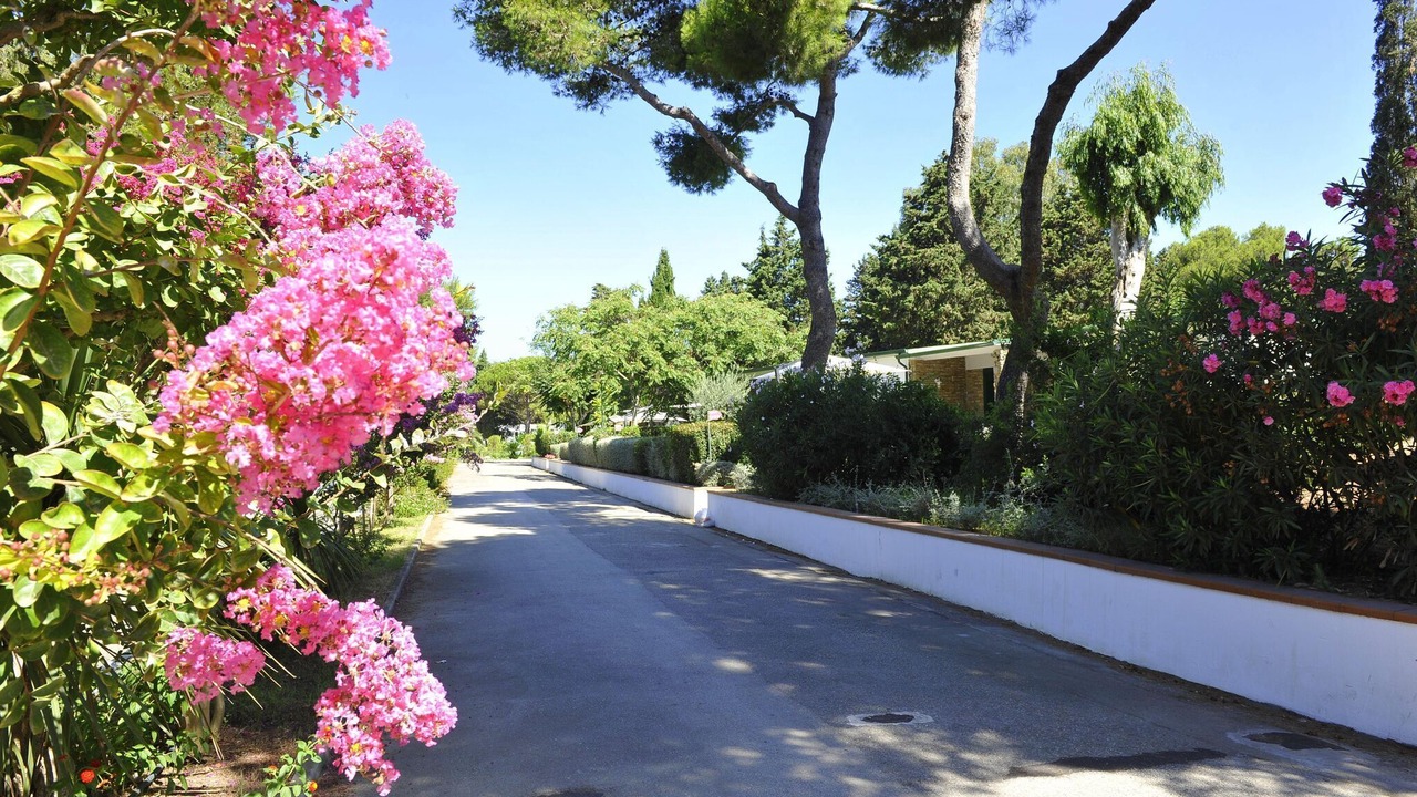 Photo of Outdoor in Baia Domizia