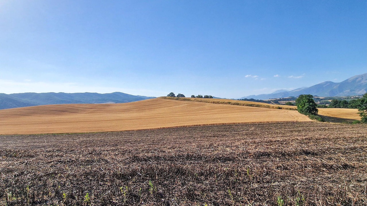 Photo of Others in Gualdo Tadino