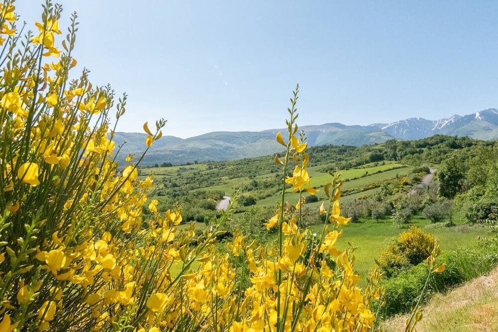 Photo of Outdoor in Abbateggio