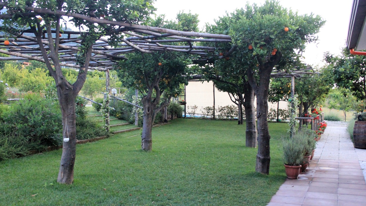 Photo of Outdoor in Sant'Egidio del Monte Albino