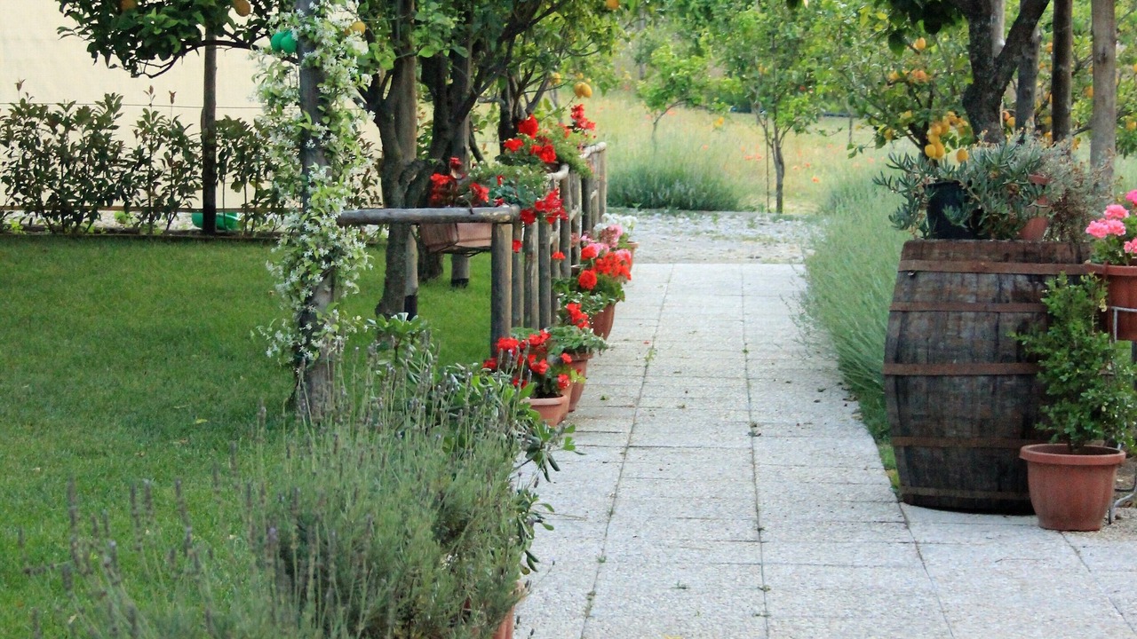 Photo of Outdoor in Sant'Egidio del Monte Albino