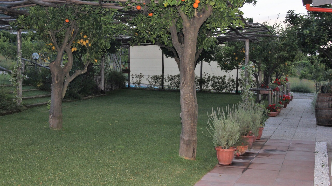 Photo of Outdoor in Sant'Egidio del Monte Albino
