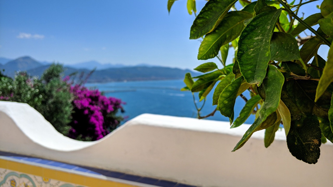 Photo of Outdoor in Raito
