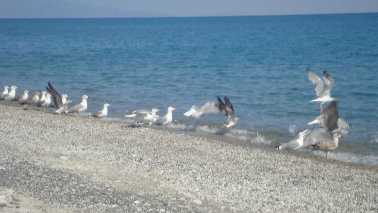 Photo of Others in Guardavalle Marina