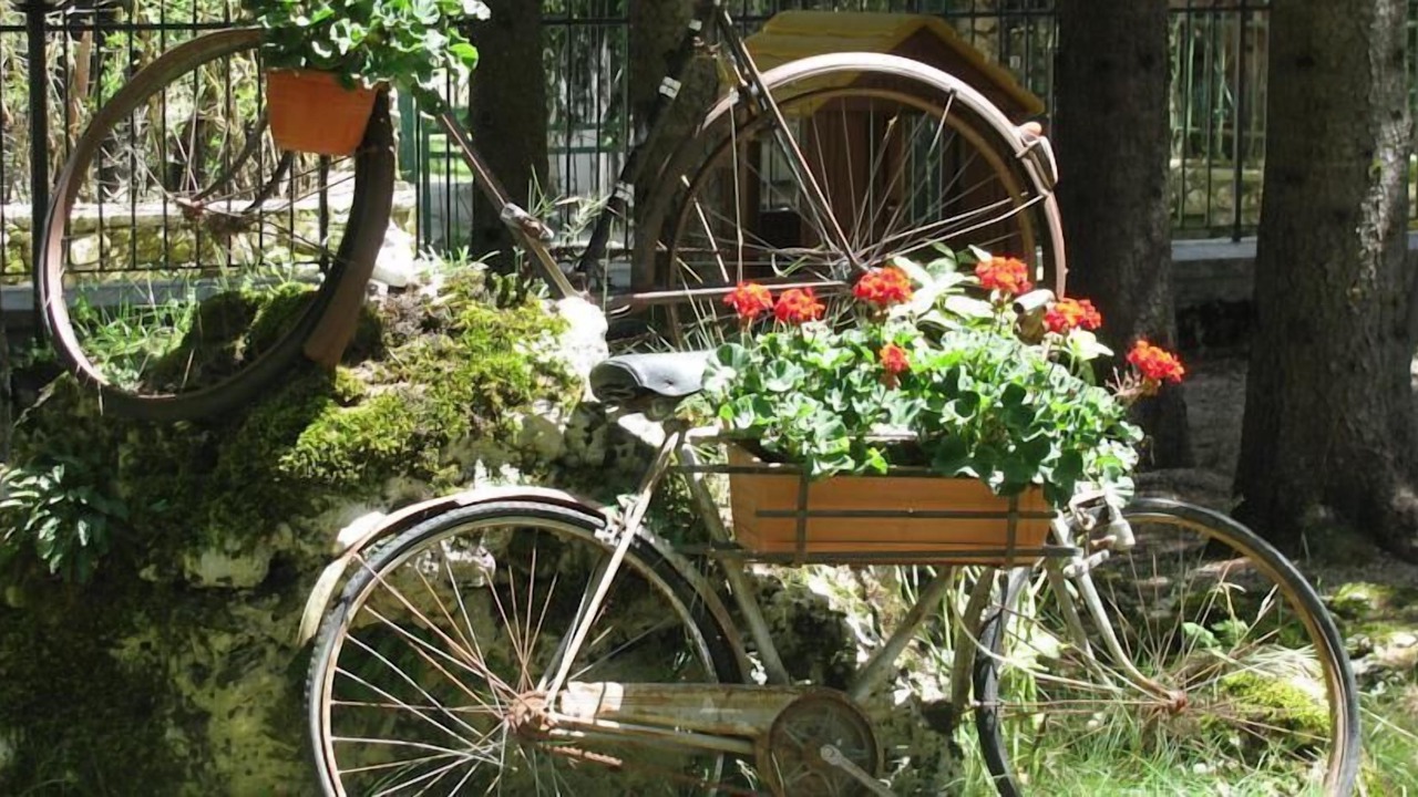 Photo of Outdoor in Pescasseroli