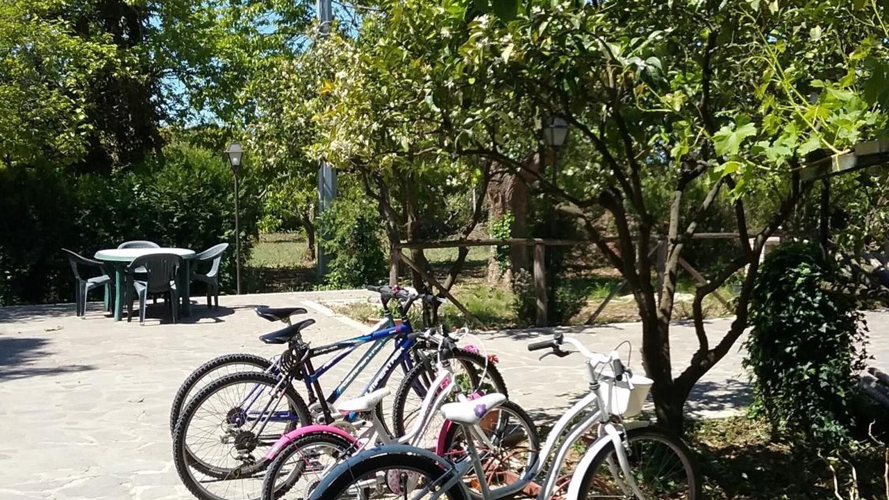 Photo of Outdoor in Altavilla Silentina