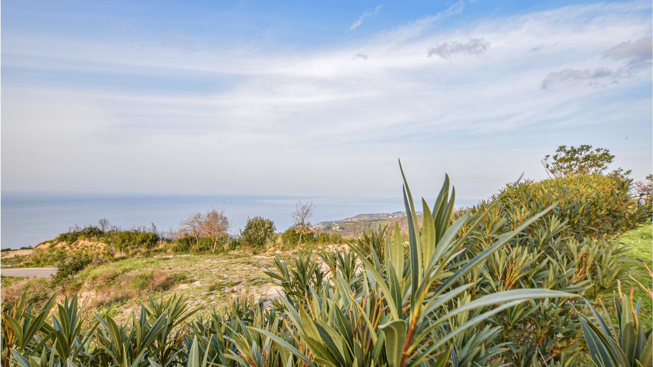 Photo of Outdoor in Zambrone