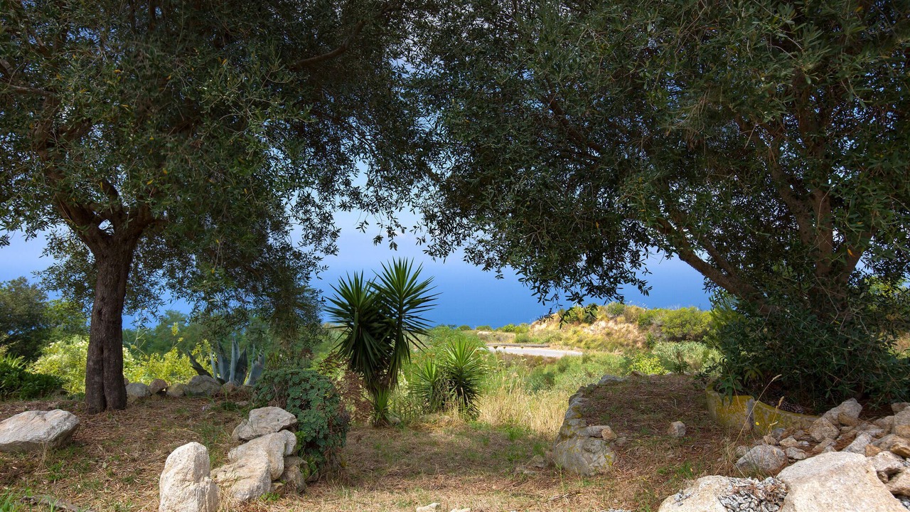 Photo of Outdoor in Zambrone
