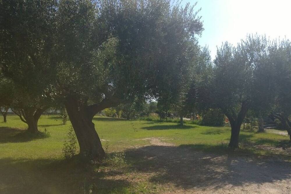 Photo of Outdoor in Ricadi