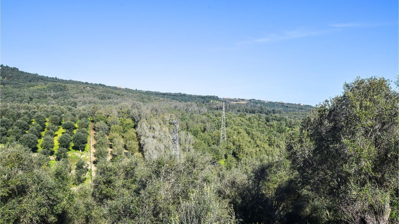 Photo of Outdoor in Palmi