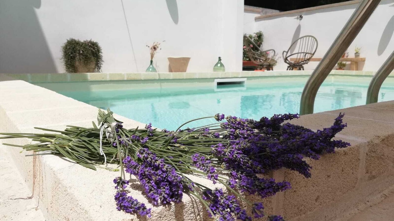 Photo of Outdoor in Torre Santa Susanna
