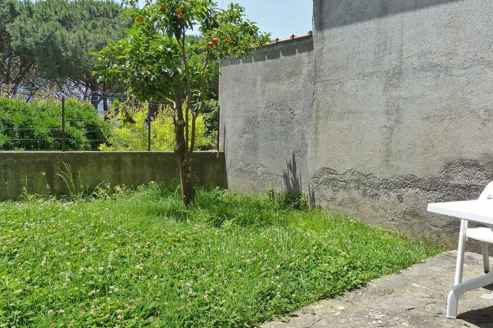 Photo of Outdoor in Schiazzano