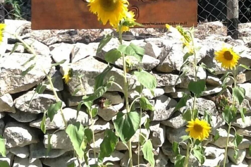 Photo of Outdoor in Abbateggio