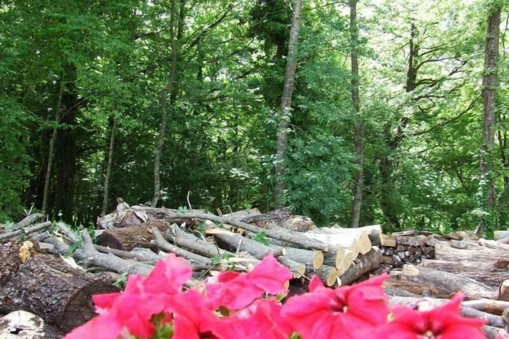 Photo of Outdoor in Abbateggio