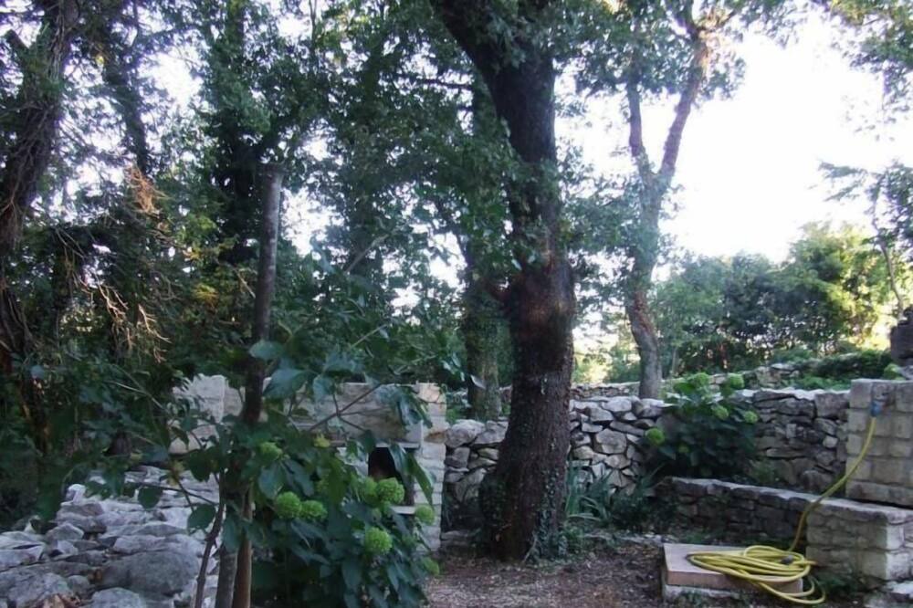 Photo of Outdoor in Abbateggio