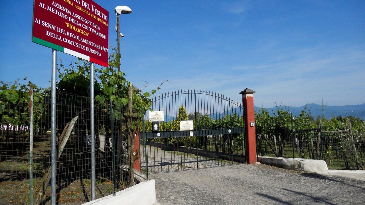 Photo of Outdoor in Trecase
