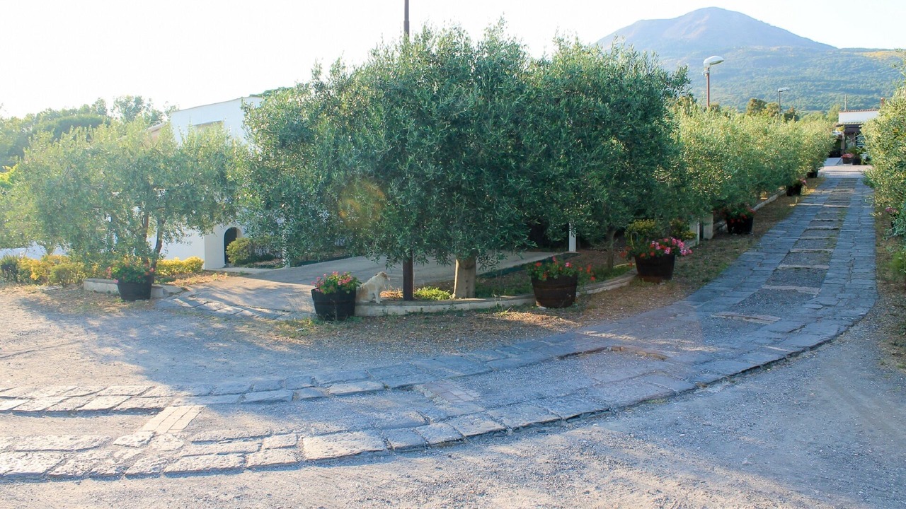 Photo of Outdoor in Trecase