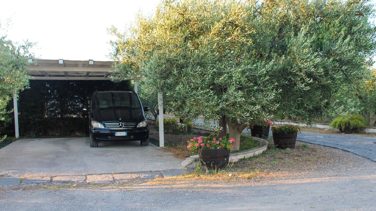 Photo of Outdoor in Trecase
