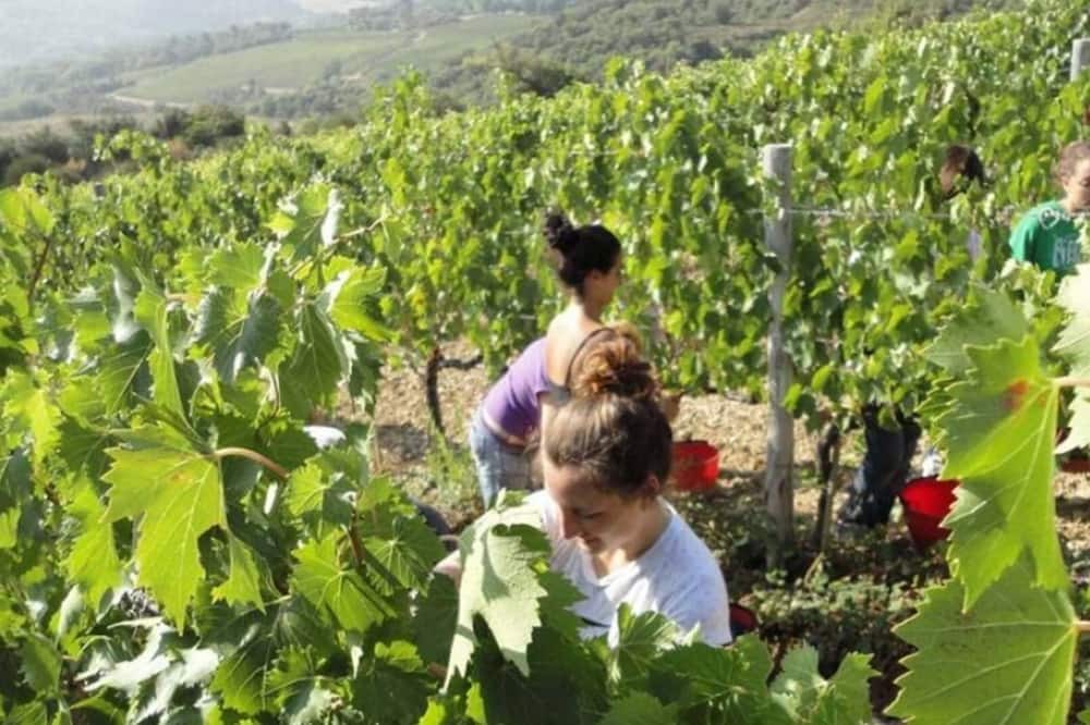 Photo of Others in Castelnuovo dell'Abate
