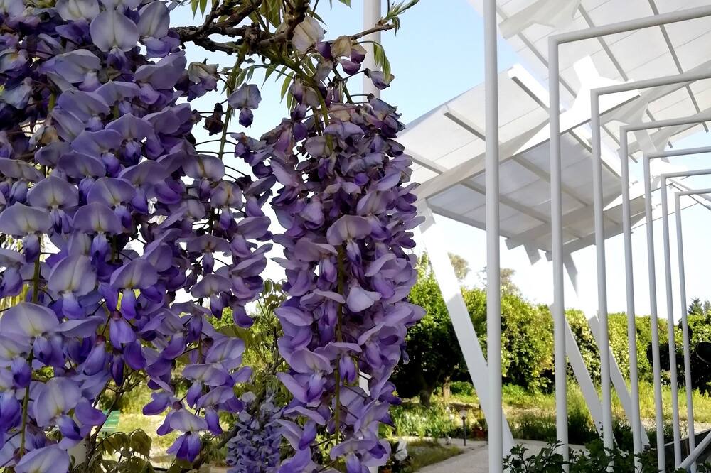 Photo of Outdoor in Foca