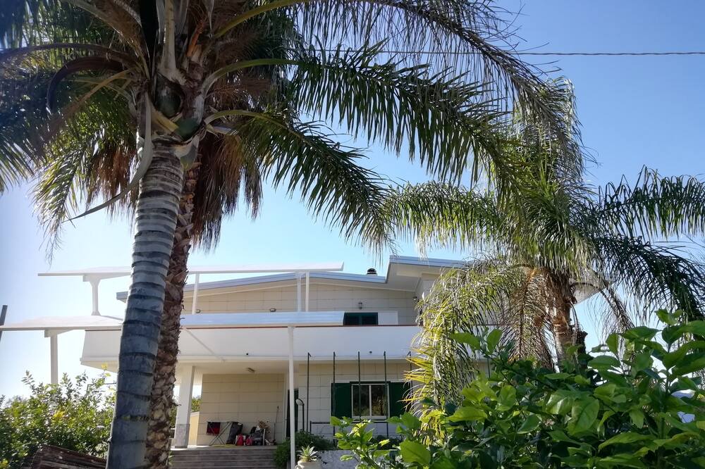 Photo of Outdoor in Foca