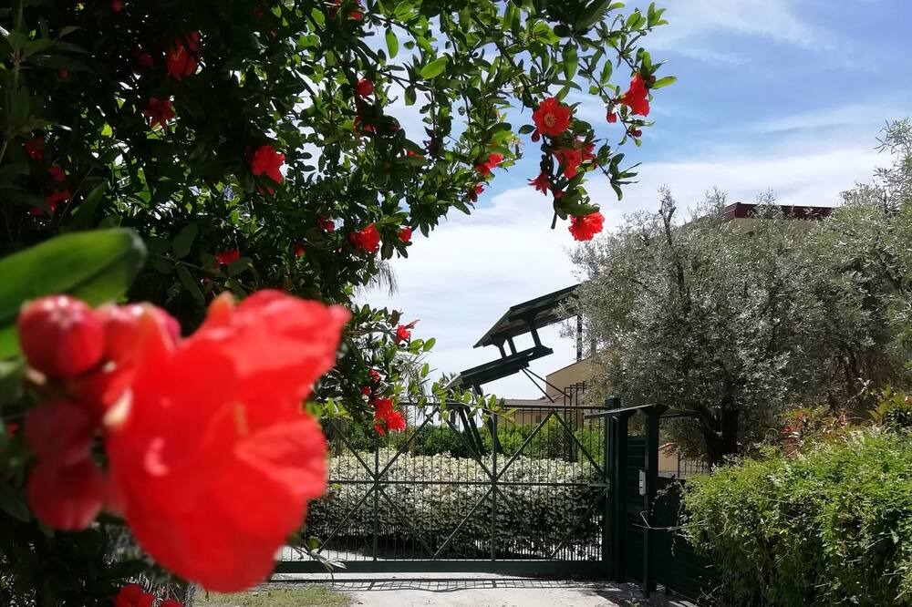 Photo of Outdoor in Foca