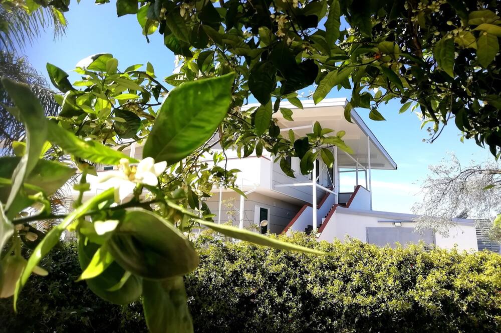 Photo of Outdoor in Foca
