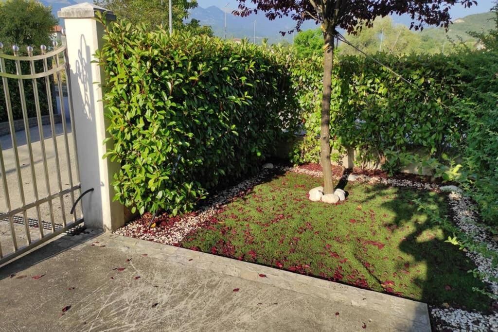 Photo of Outdoor in Villa Latina