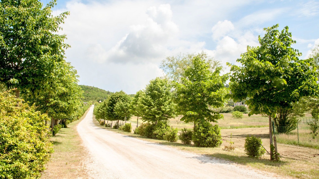 Photo of Outdoor in Magione