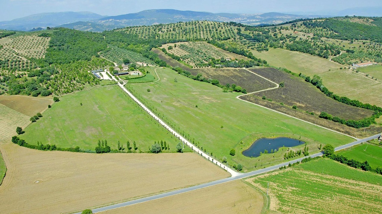 Photo of Others in Magione