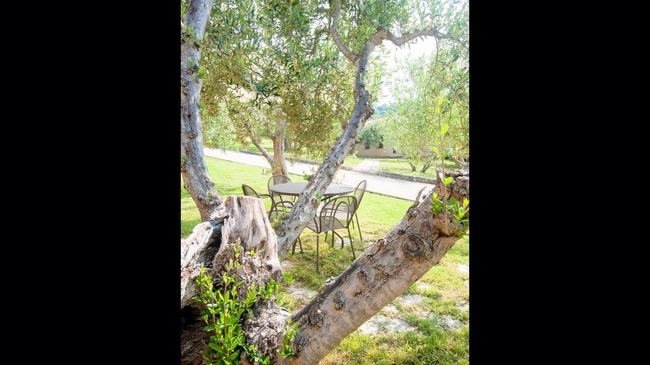 Photo of Others in Magione