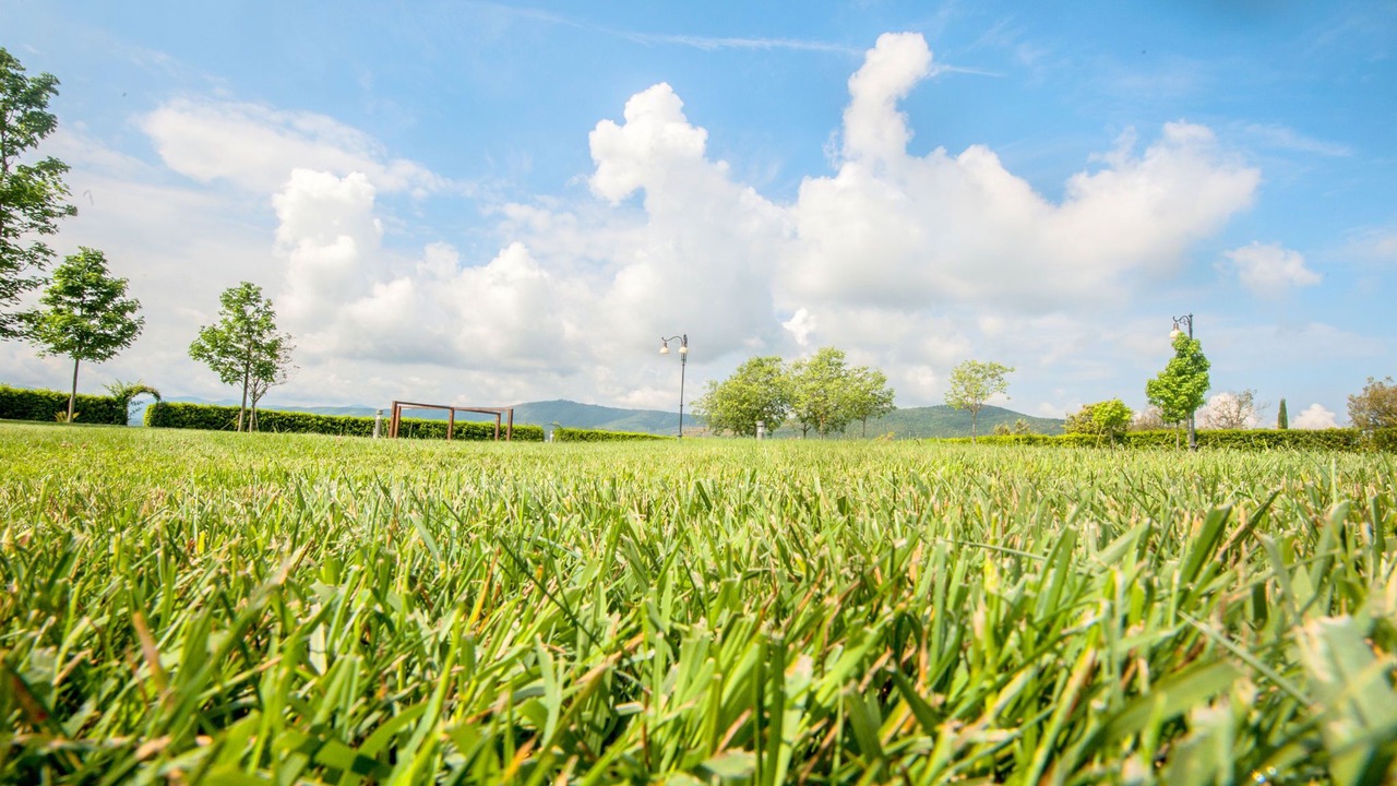 Photo of Outdoor in Magione