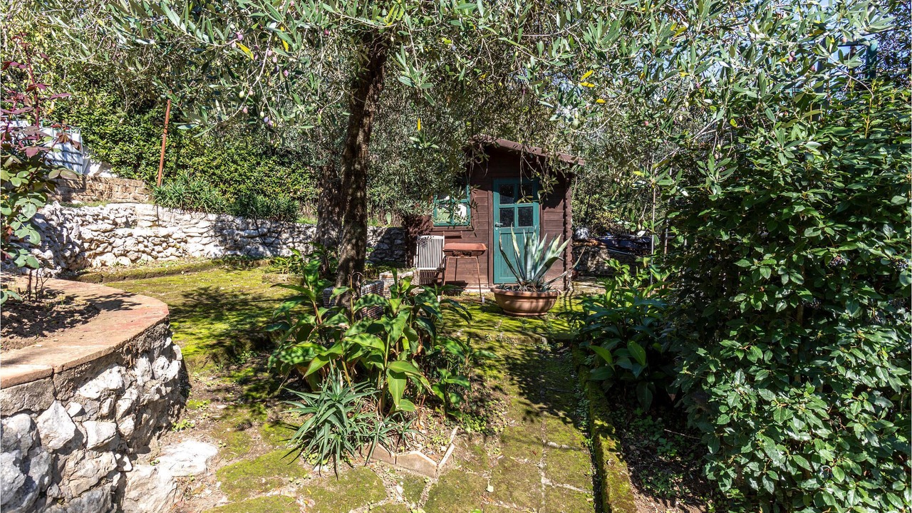 Photo of Outdoor in Marciano Freddo