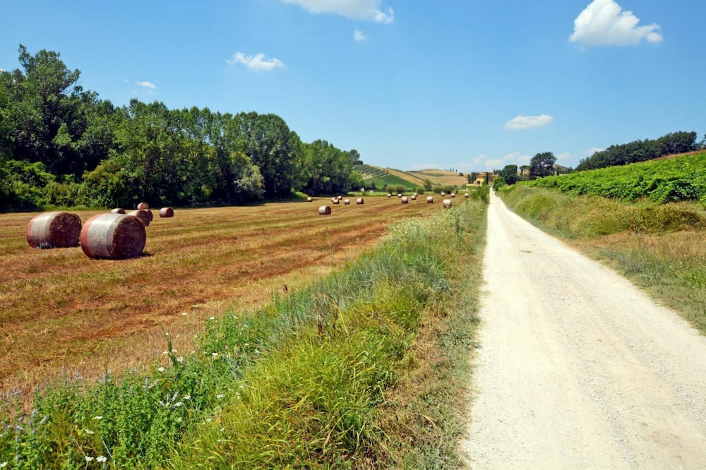 Photo of Others in Certaldo