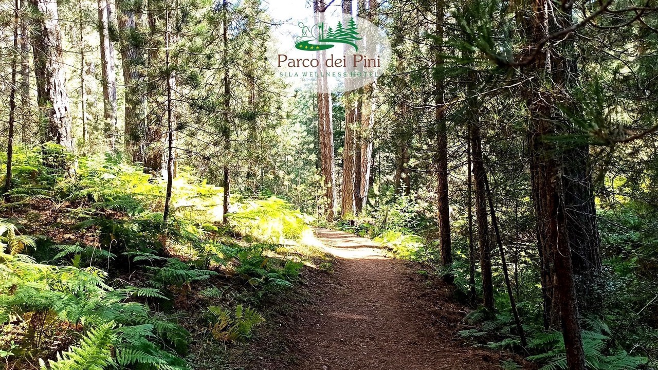 Photo of Outdoor in Cutura