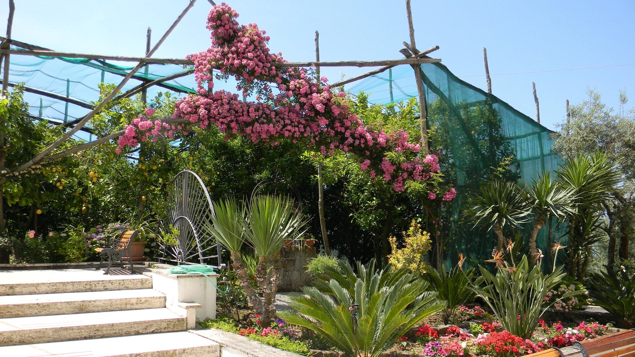 Photo of Outdoor in Priora