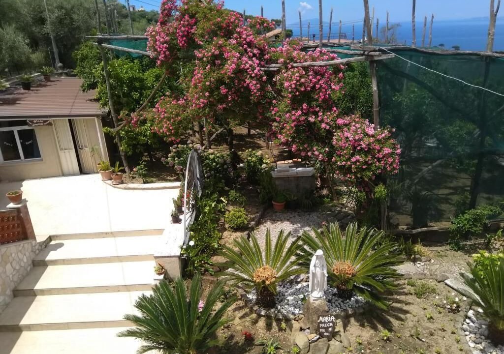 Photo of Outdoor in Priora