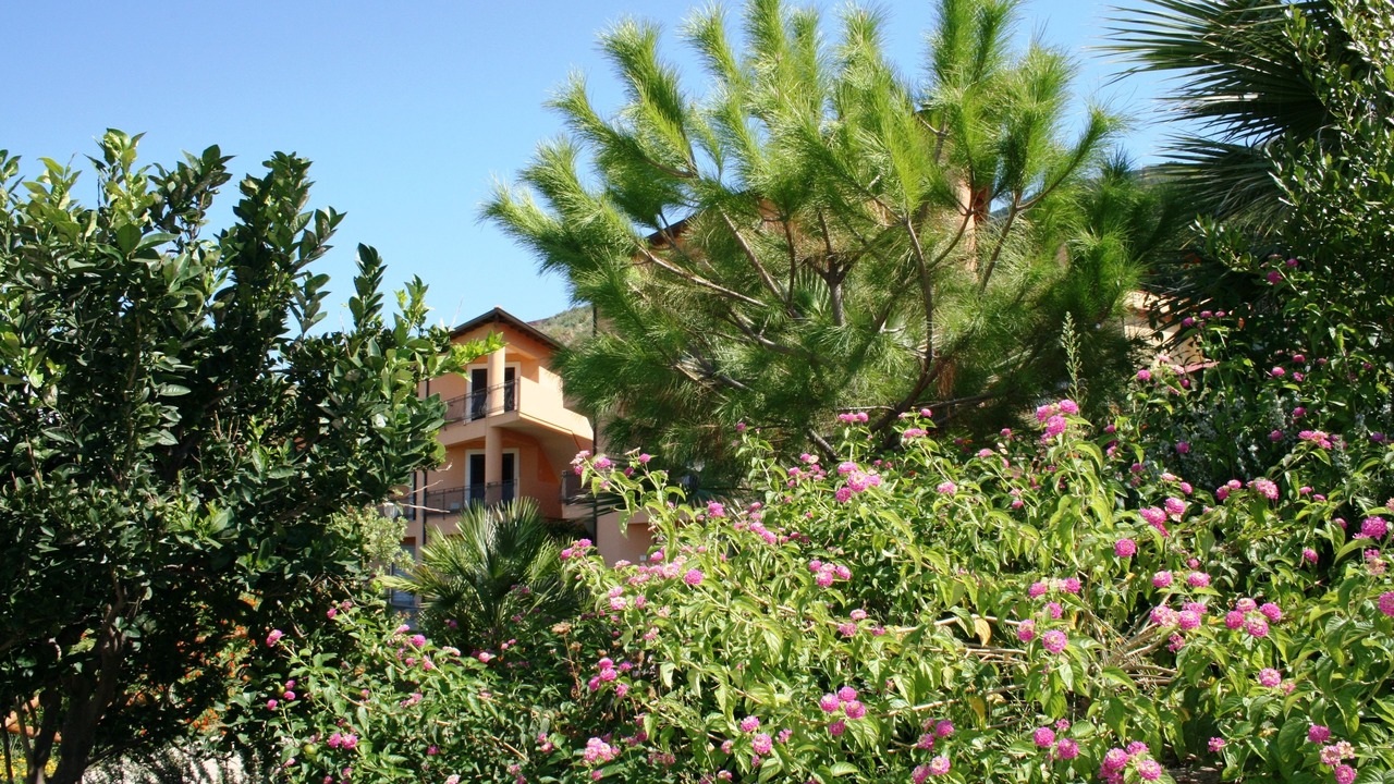 Photo of Outdoor in Pizzo